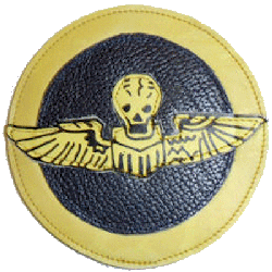 Image of 490th Bombardment Squadron's Skull and Wings patch