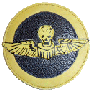 Image of 490th Bomb Squadron's Skull & Wings leather patch